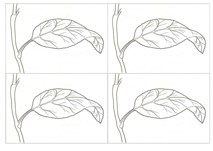 Recortes Sobre El Reino Vegetal Actiludis